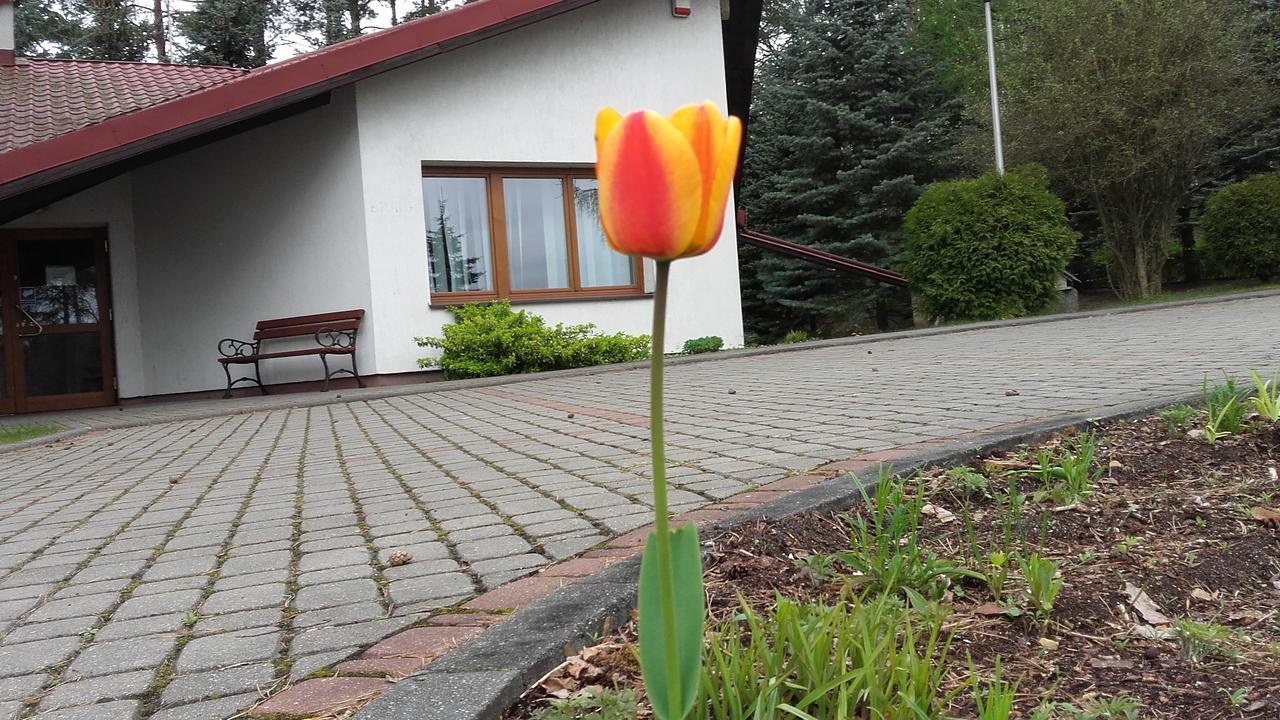 Osrodek Szkoleniowo - Wypoczynkowy Guzianka Hotel Ruciane-Nida Luaran gambar