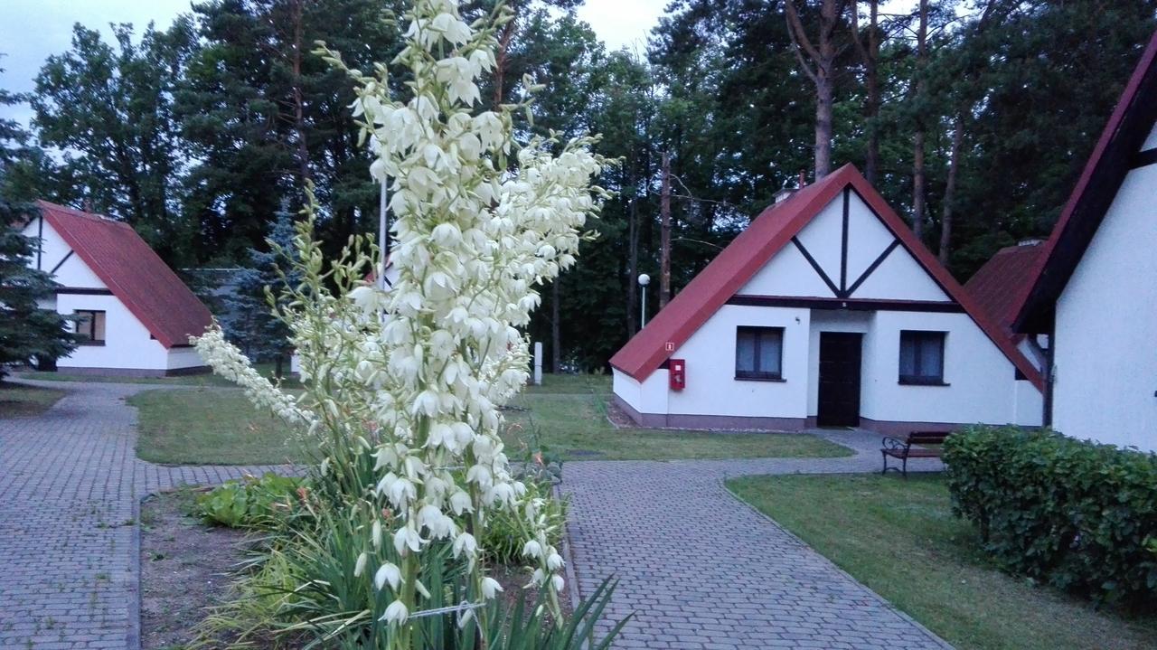 Osrodek Szkoleniowo - Wypoczynkowy Guzianka Hotel Ruciane-Nida Luaran gambar